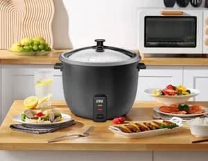 Winning Star Electric Pressure Cooker