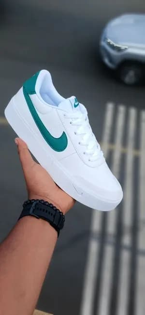 Nike SB flat