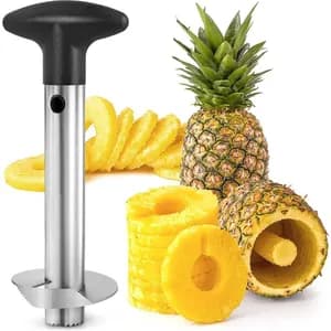 Stainless Steel Pineapple Peeler