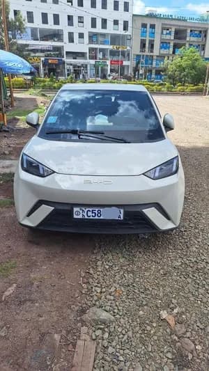 BYD Seagull Premium 2024 Electric