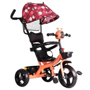 Kids tricycle with umbrella
