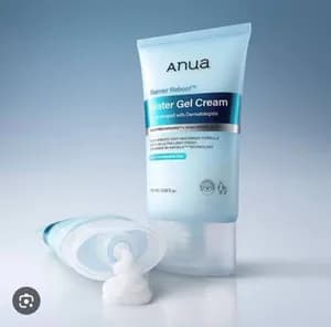 Anua Barrier Reboot Water Gel Cream 100ml