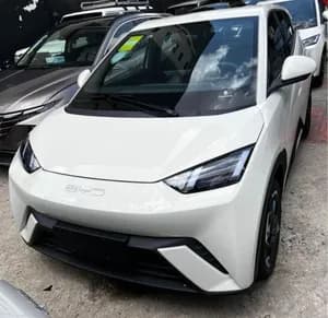 BYD Seagulls Electric 2025
