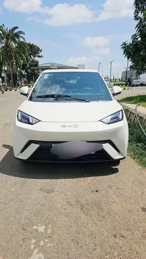 BYD Seagul 2025 Full Electric