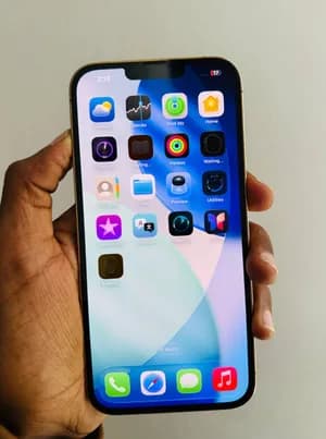 iPhone 13 Pro Max 256GB
