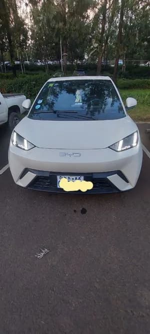 BYD Seagull Premium 2025 Electric