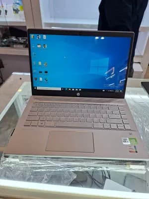 HP Pavilion 14 i5 10th Gen