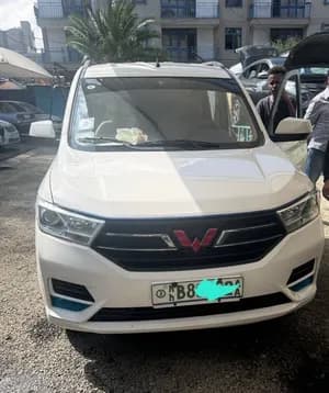 Wuling S 2024 Manual Van