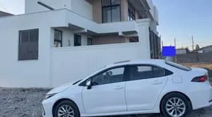 Toyota Corolla D4-T Levin