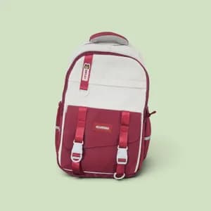 Arcad 15.6 Inch Backpack
