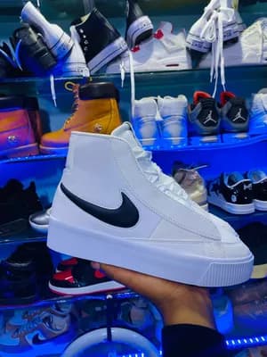 Nike SB leather