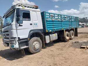 2023 Sinotruk Cargo Truck 12.5T