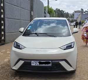 BYD Seagull 2024