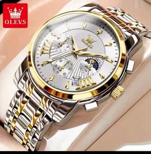 OLEVS 2892 Classic Fashion Watch 3ATM