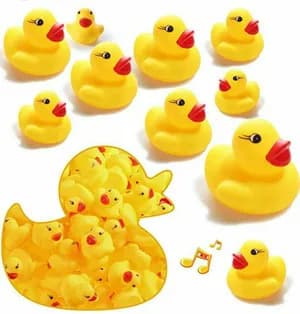 Duck's bath toys