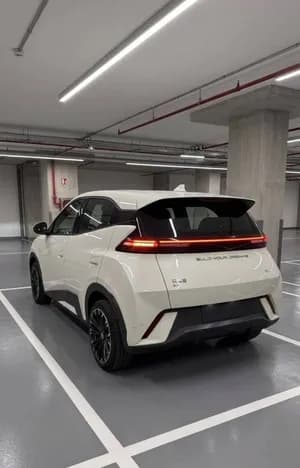 BYD Seagull
