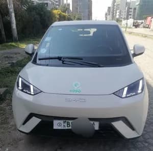 BYD Seagull 2024 Automatic