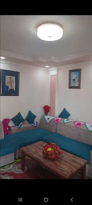 1 Bedroom Condo Bole Arabsa
