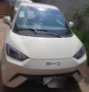 BYD Seagull Premium Crossover SUV 2024