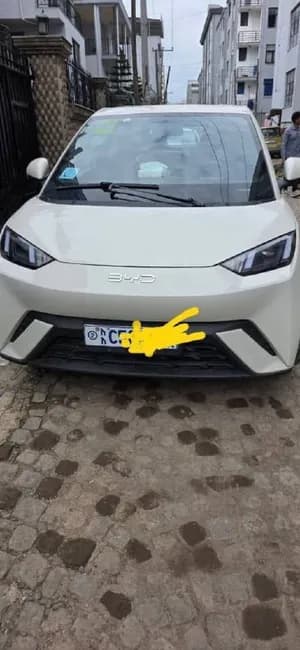BYD Seagull