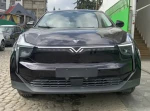 Netu Pro Electric Car 2023