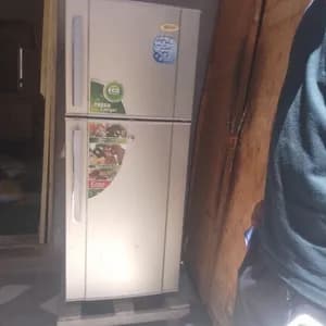 Enzo 240 Liter Refrigerator