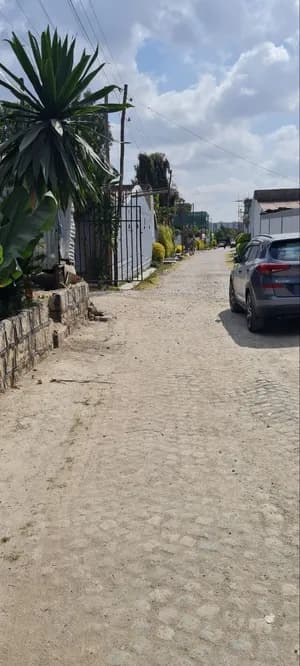 ጃክሮስ ሜታ 540 ካሬ