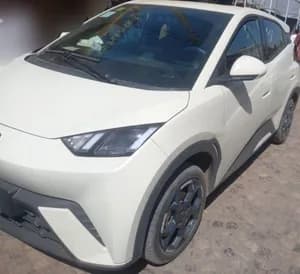 BYD Seagull Flying Electric 2024