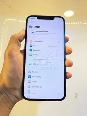 iPhone 12 Pro Max 256GB