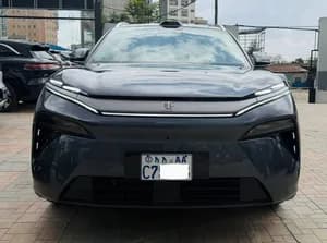 2025 BYD Tang L Exclusive