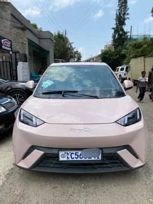 BYD Segul 2025 Electric