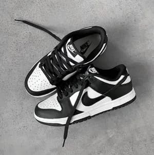 Nike Dunk Low Panda Women's Shoes
