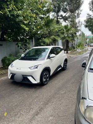BYD Seagull 2024 Electric Automatic