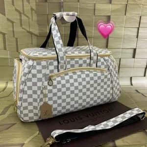 Louis Voitton Travel Bag