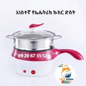 አነስተኛ የኤሌትሪክ ኩከር