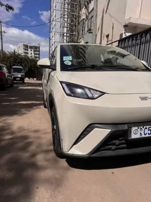 BYD Seagull 2024 Electric