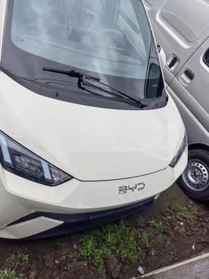 BYD Seagull 2024 204HP Brand New