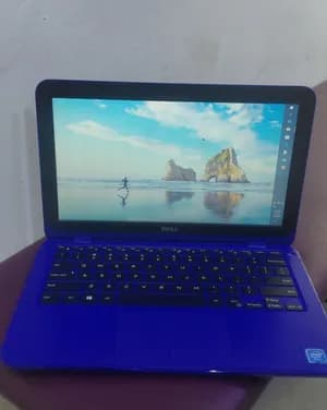 Dell Inspiron Mini Laptop