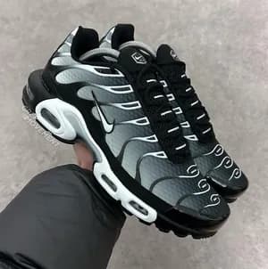 Nike Air Max Plus TN Metallic Silver