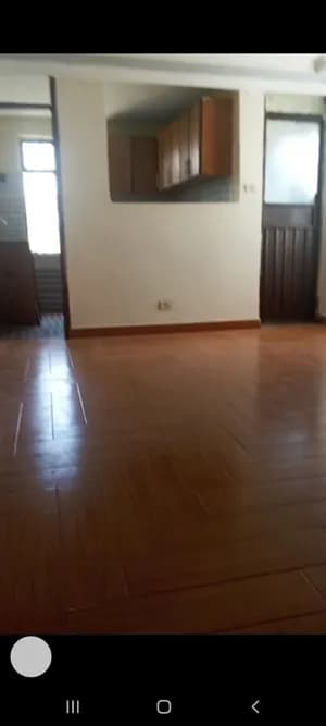 2 Bedroom Condo in Bole Arabsa