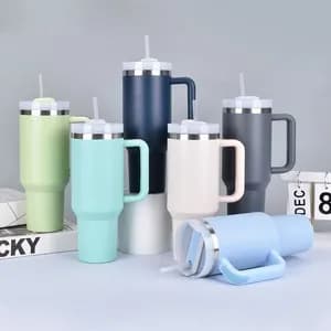 Double Layer Stainless Tumbler with Straw