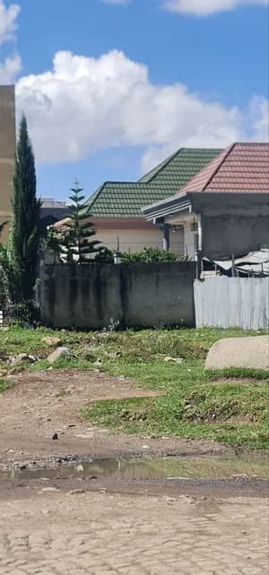 Villa 250 ካሬ