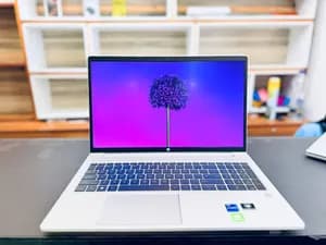 HP ProBook 450 G9 i7 Laptop