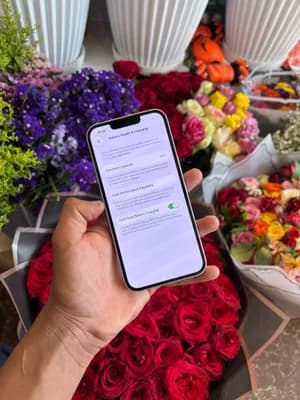 Apple iPhone 14 128GB