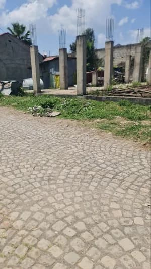 250 sqm Land for Sale in Ayat