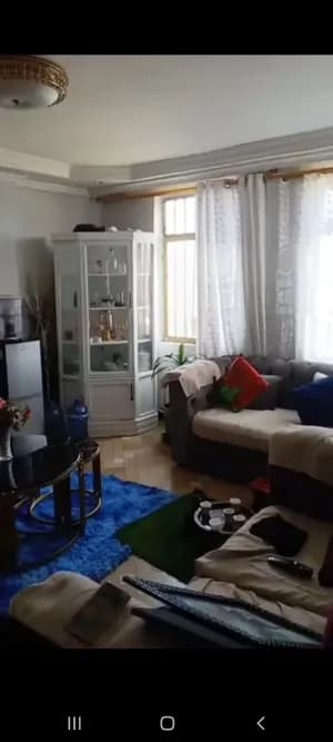 2 Bedroom Condo in Bole Arabsa