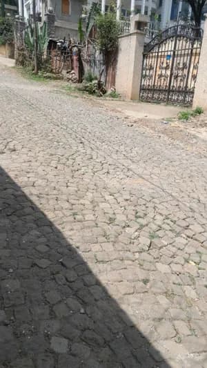 300 sqm Land for Sale Megenagna
