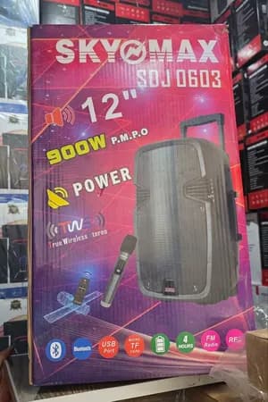 Sky Max SDJ 0603 Portable Speaker