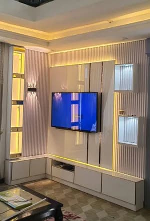 Modern TV Stand