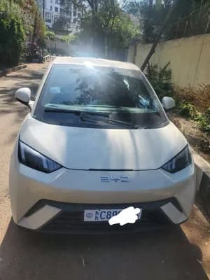BYD Segull 2024